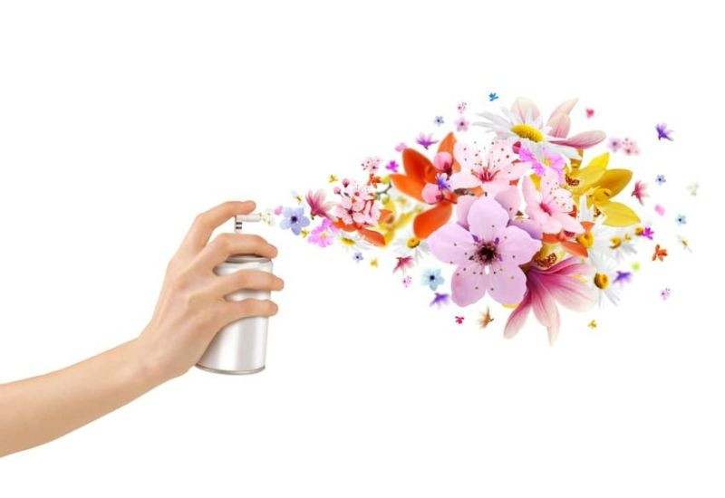Trong trị liệu mùi hương, mối liên hệ giữa mùi hương, cảm xúc và ký ức là cực kỳ quan trọng